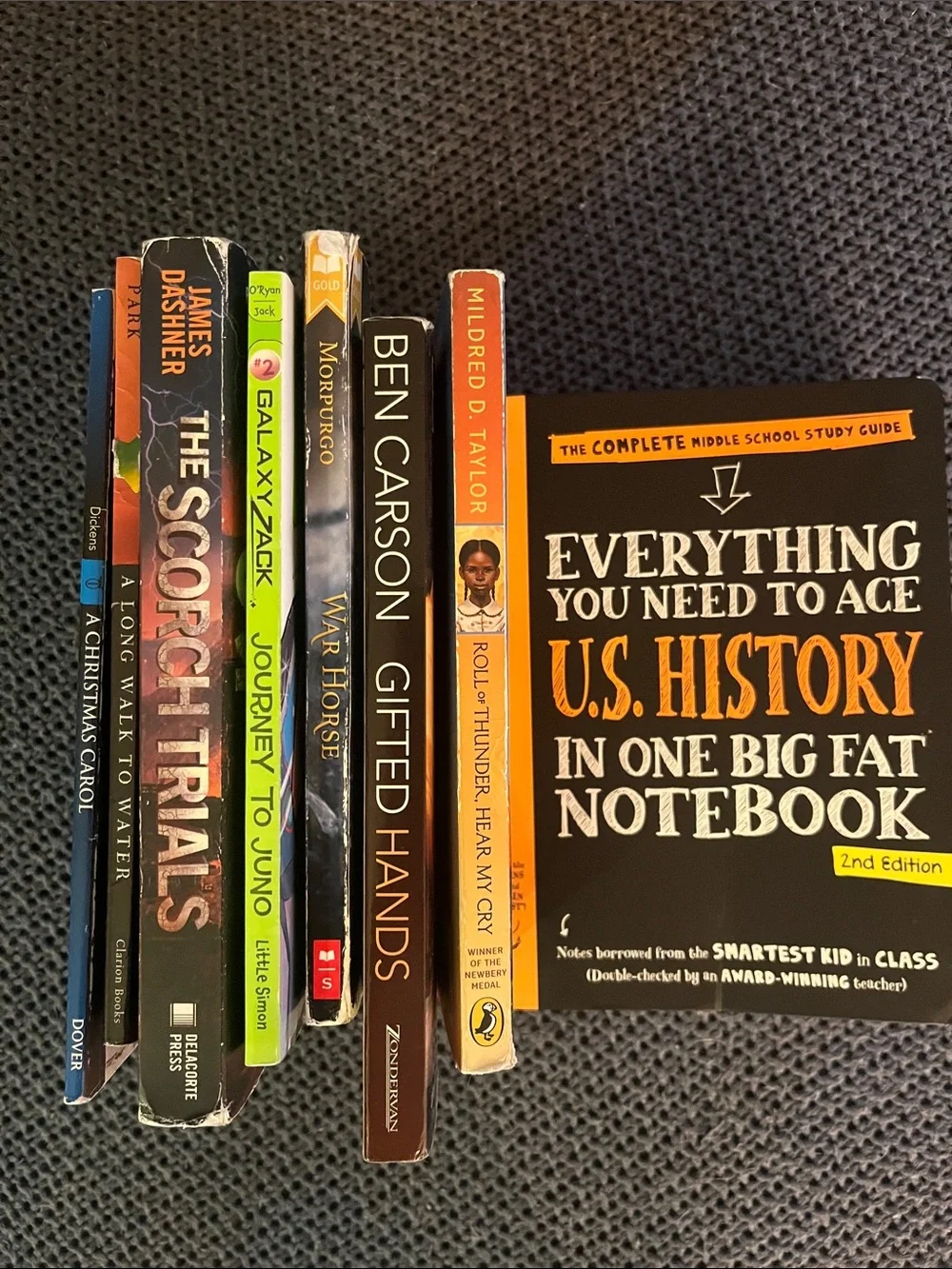 Middle School Books (8)